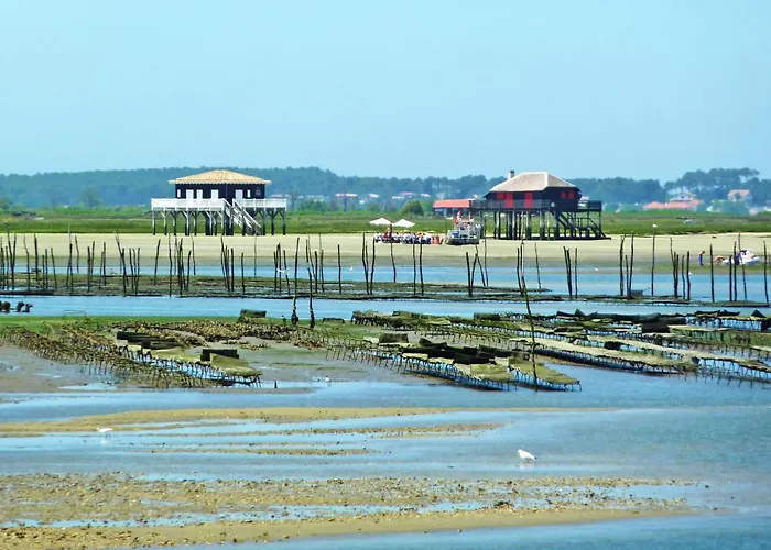 Le Trianon By Interhome Arcachon